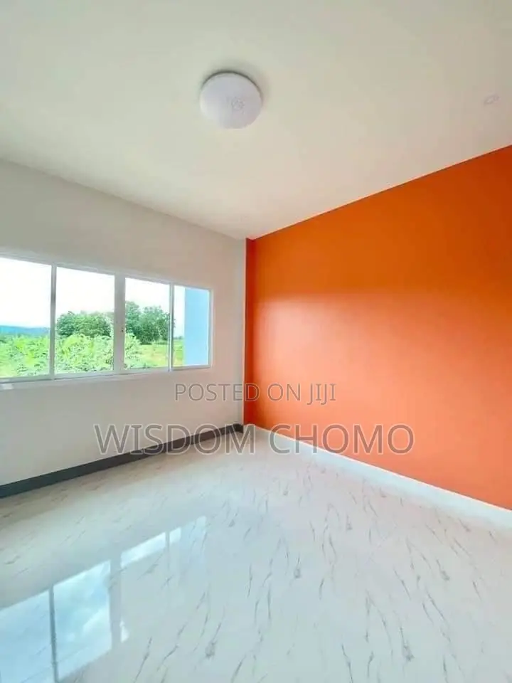 Perfect Painting and Screeding /Wallpaper Installation