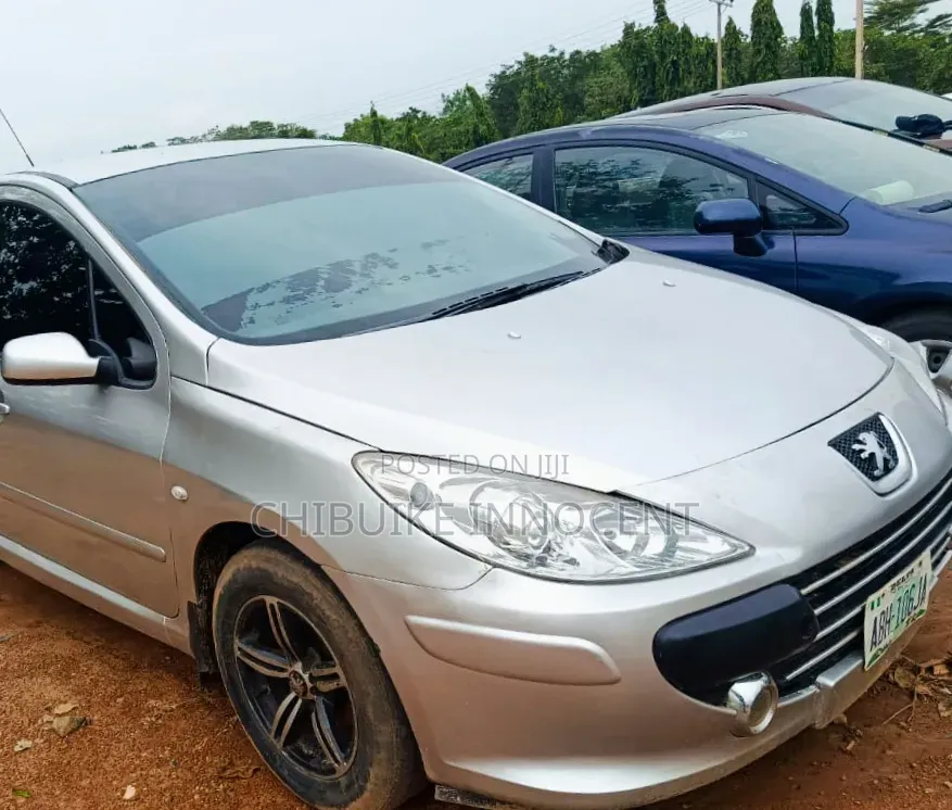 Peugeot 307 2007 Silver