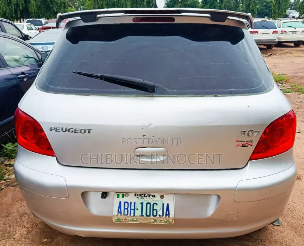 Peugeot 307 2007 Silver