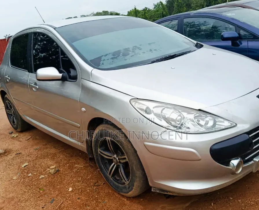 Peugeot 307 2007 Silver