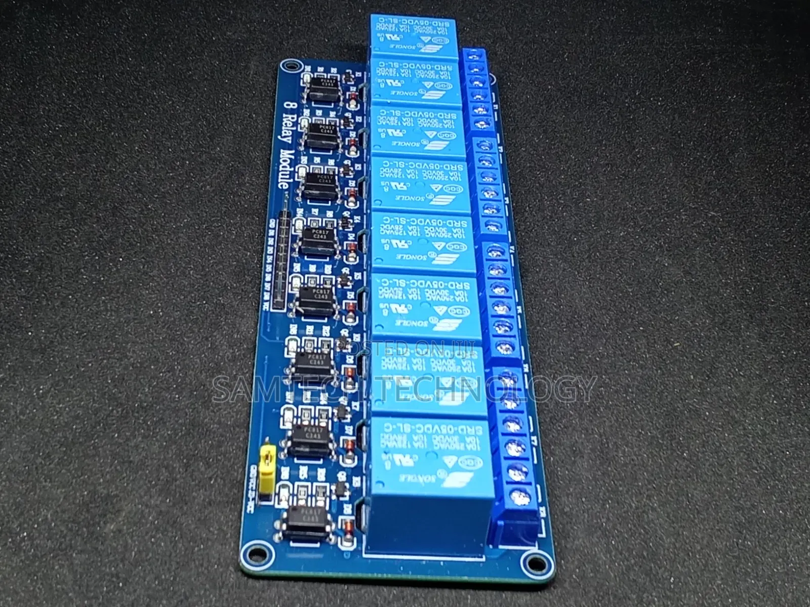 8 Channel Relay Module