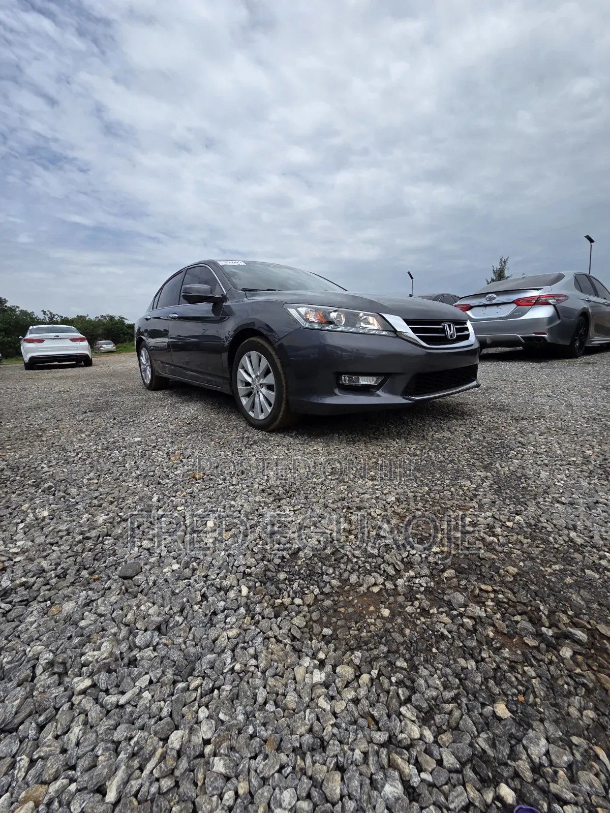 Honda Accord EX-L V-6 4dr Sedan (3.5L 6cyl 6A) 2014 Gray