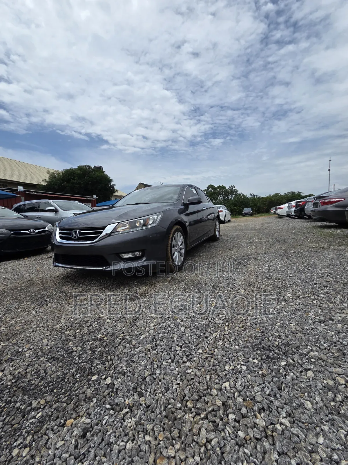 Honda Accord EX-L V-6 4dr Sedan (3.5L 6cyl 6A) 2014 Gray