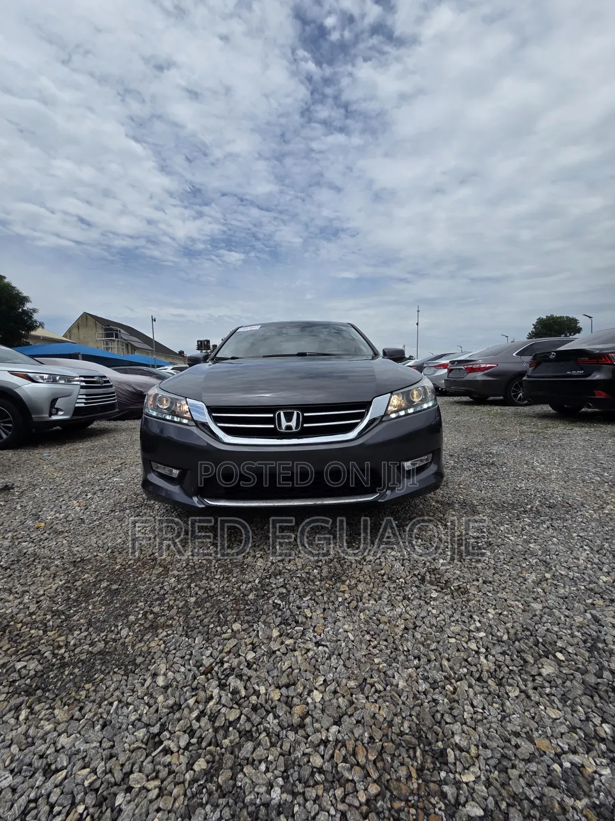 Honda Accord EX-L V-6 4dr Sedan (3.5L 6cyl 6A) 2014 Gray