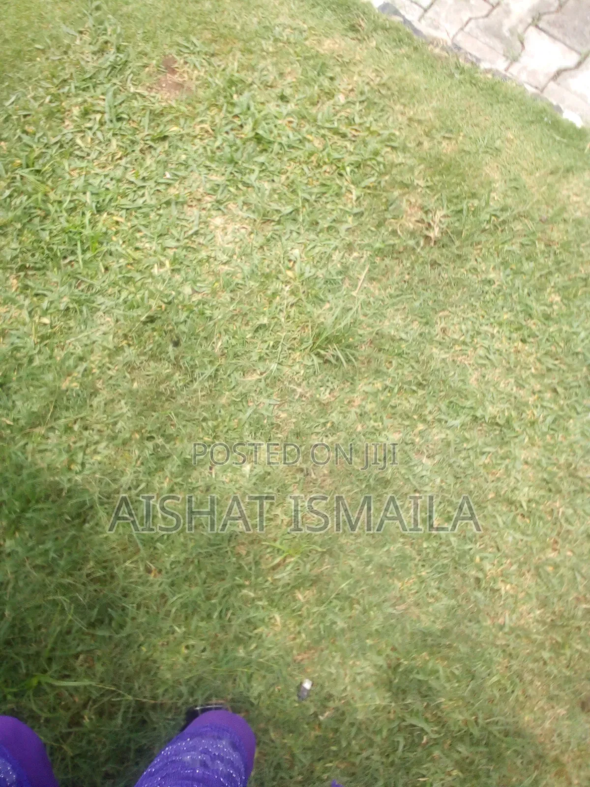 Land by Barter Use Your Asset to Exchange of Land