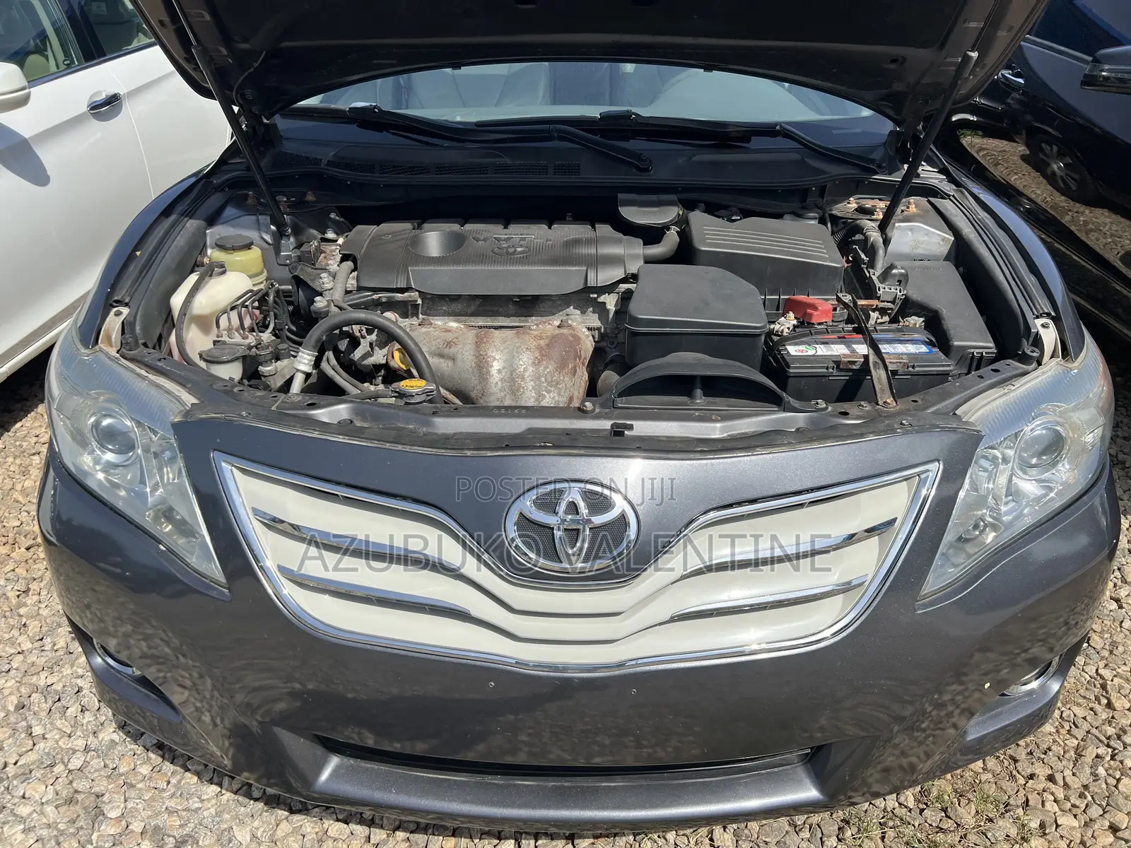Toyota Camry XLE V6 4dr Sedan (3.5L 6cyl 6A) 2011 Gray