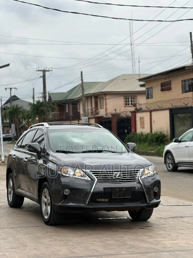 Lexus RX 350 2010 Gray