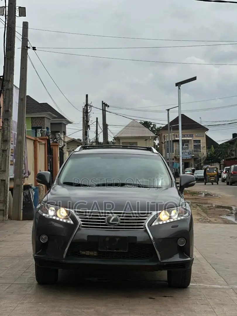 Lexus RX 350 2010 Gray