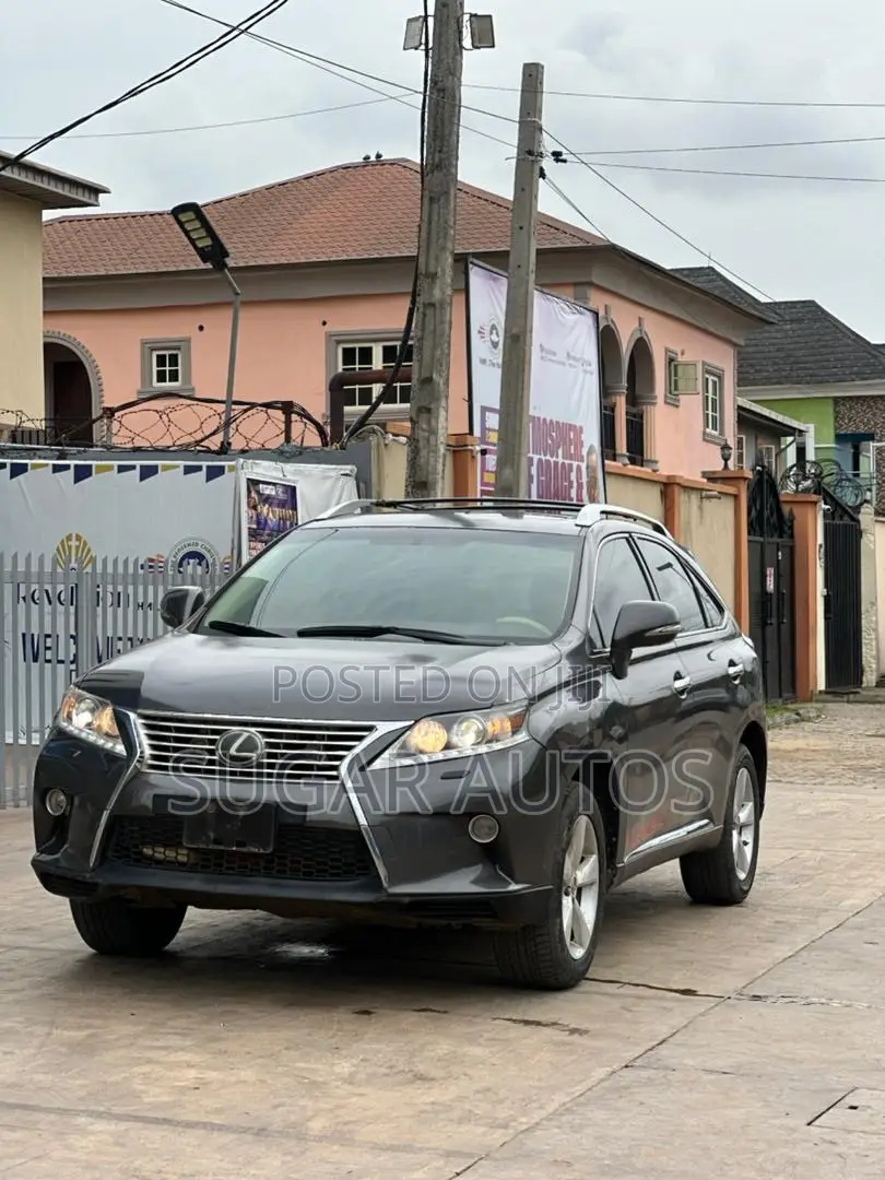 Lexus RX 350 2010 Gray