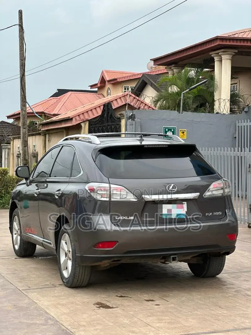 Lexus RX 350 2010 Gray