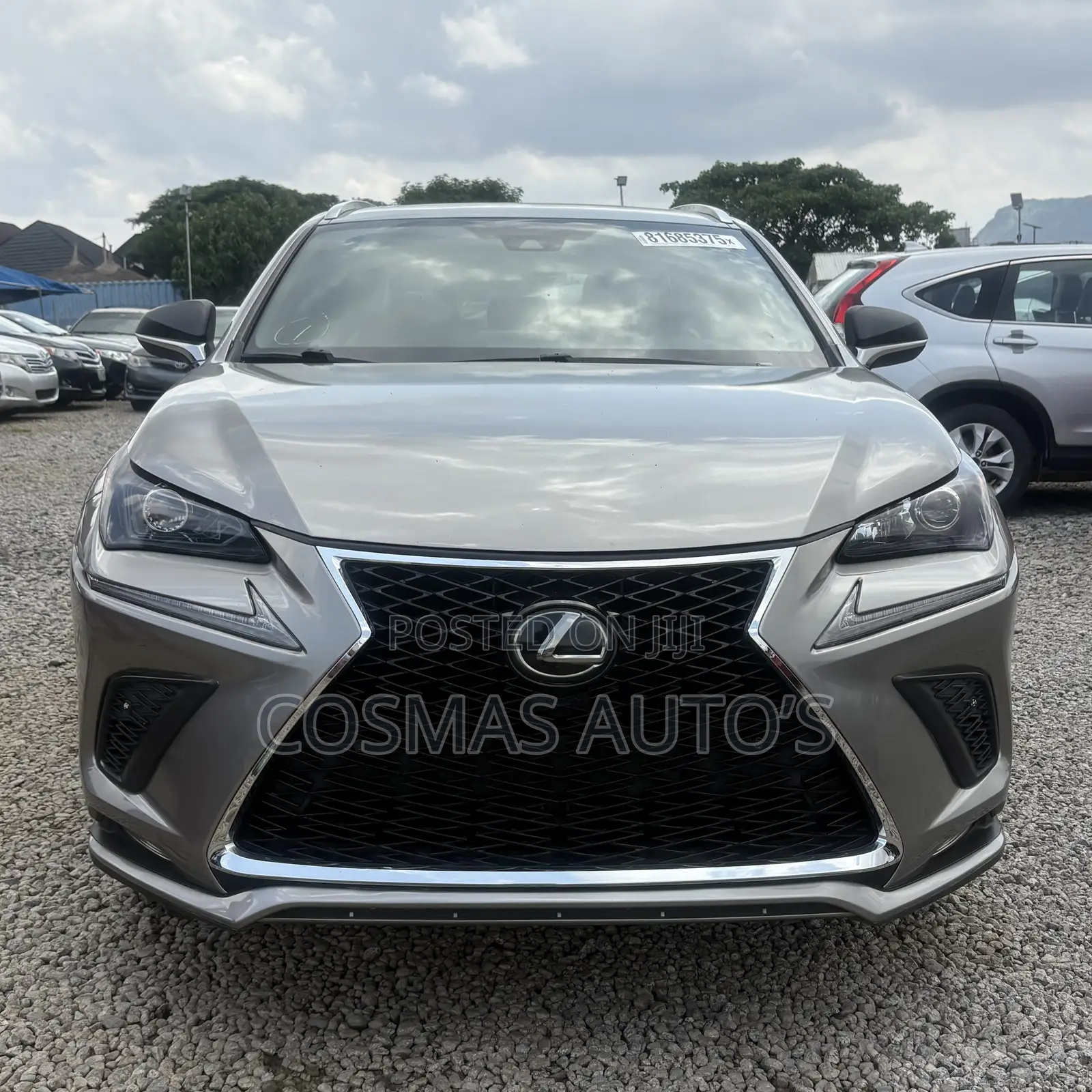 Lexus NX 2022 Gray