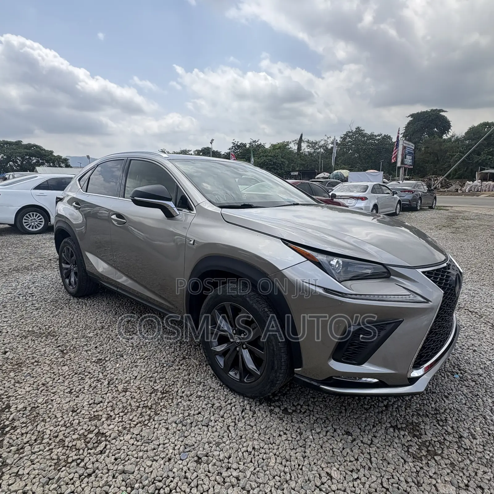 Lexus NX 2022 Gray