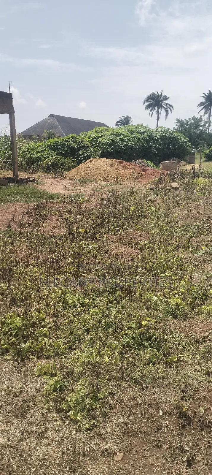 A Plot of Land Behind Peace Estate at Ojaja Area Abere Osun State