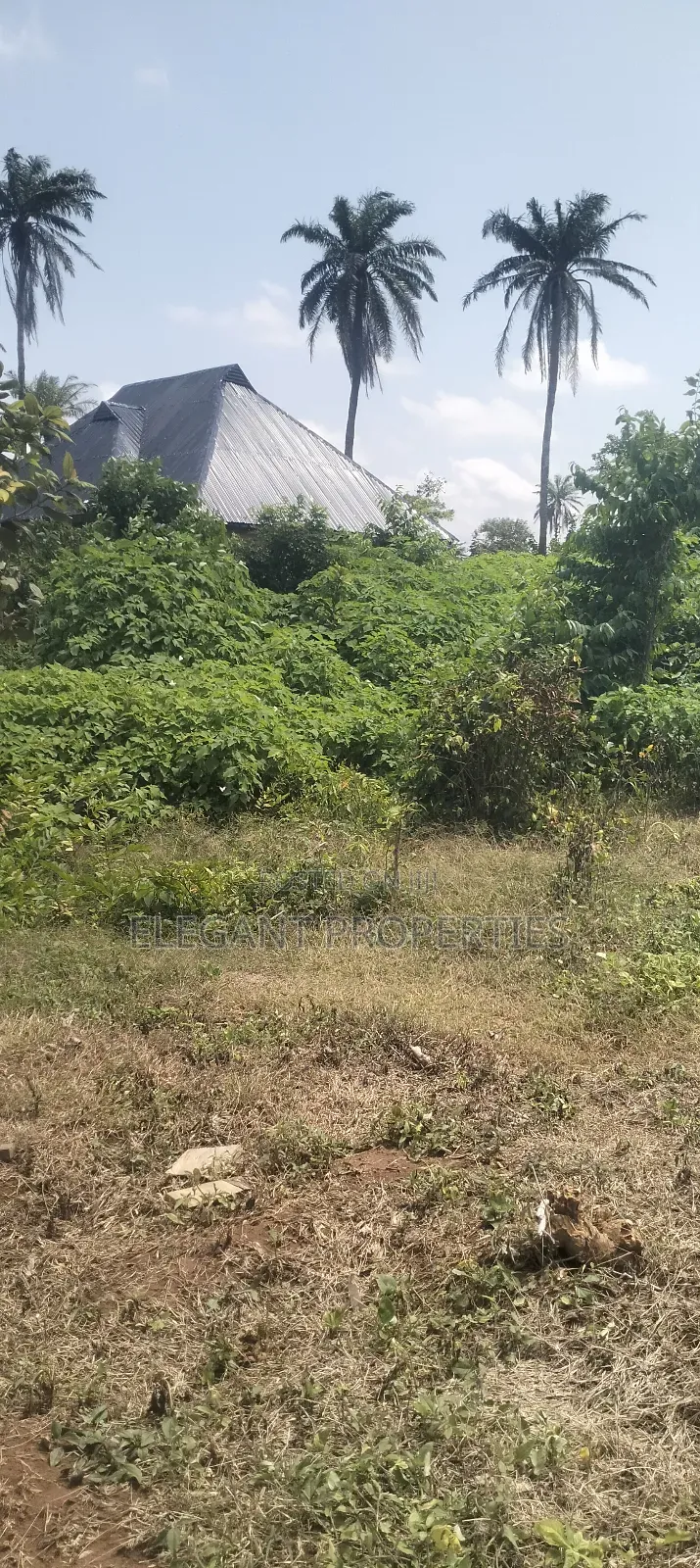 A Plot of Land Behind Peace Estate at Ojaja Area Abere Osun State