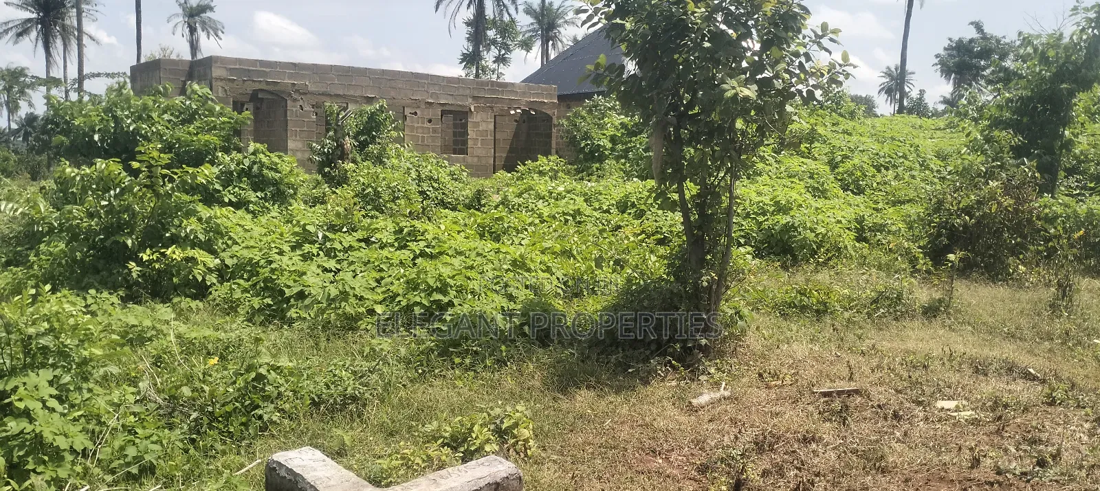 A Plot of Land Behind Peace Estate at Ojaja Area Abere Osun State