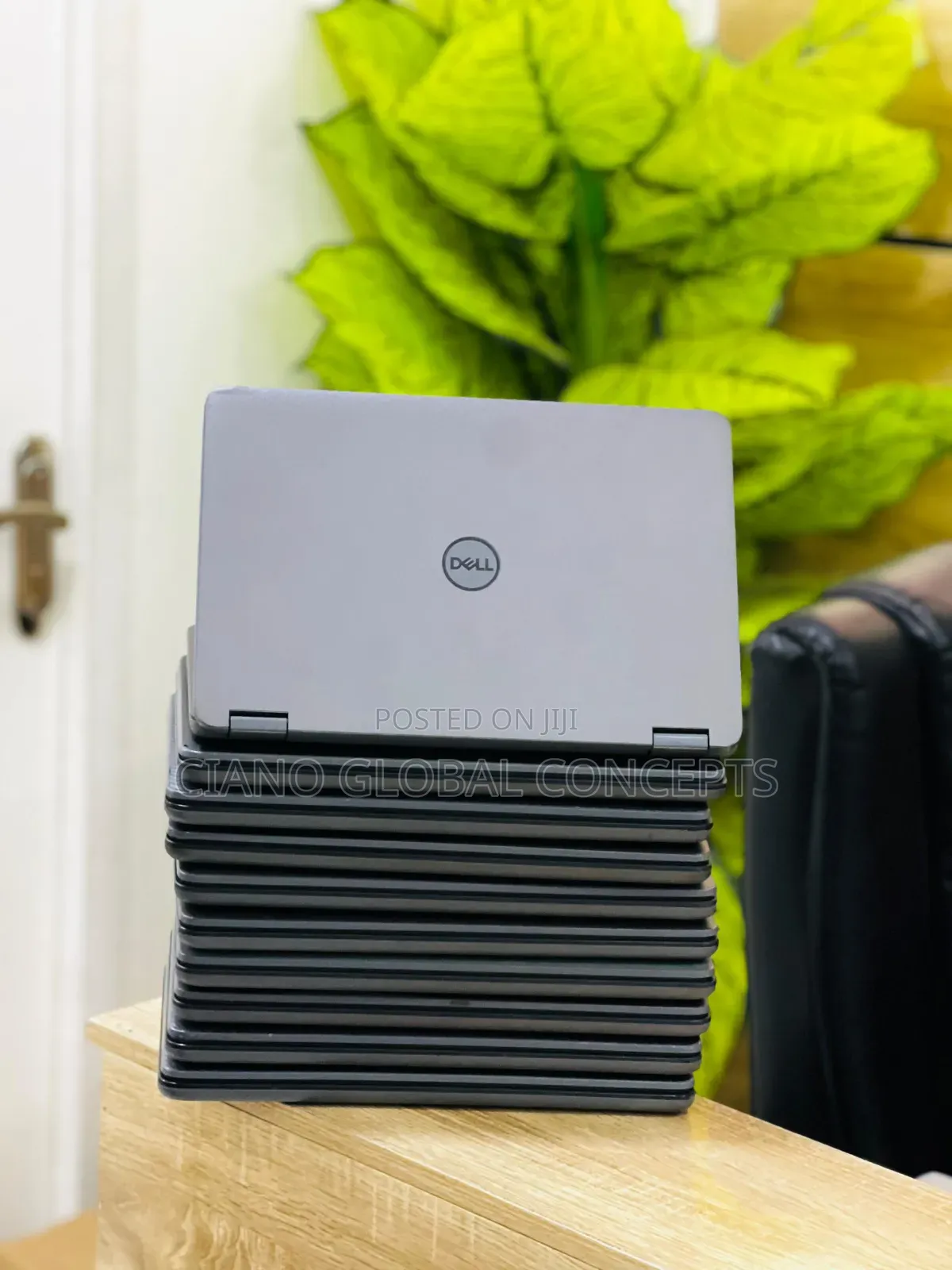 Laptop Dell Latitude 3120 8GB Intel Pentium SSD 128GB