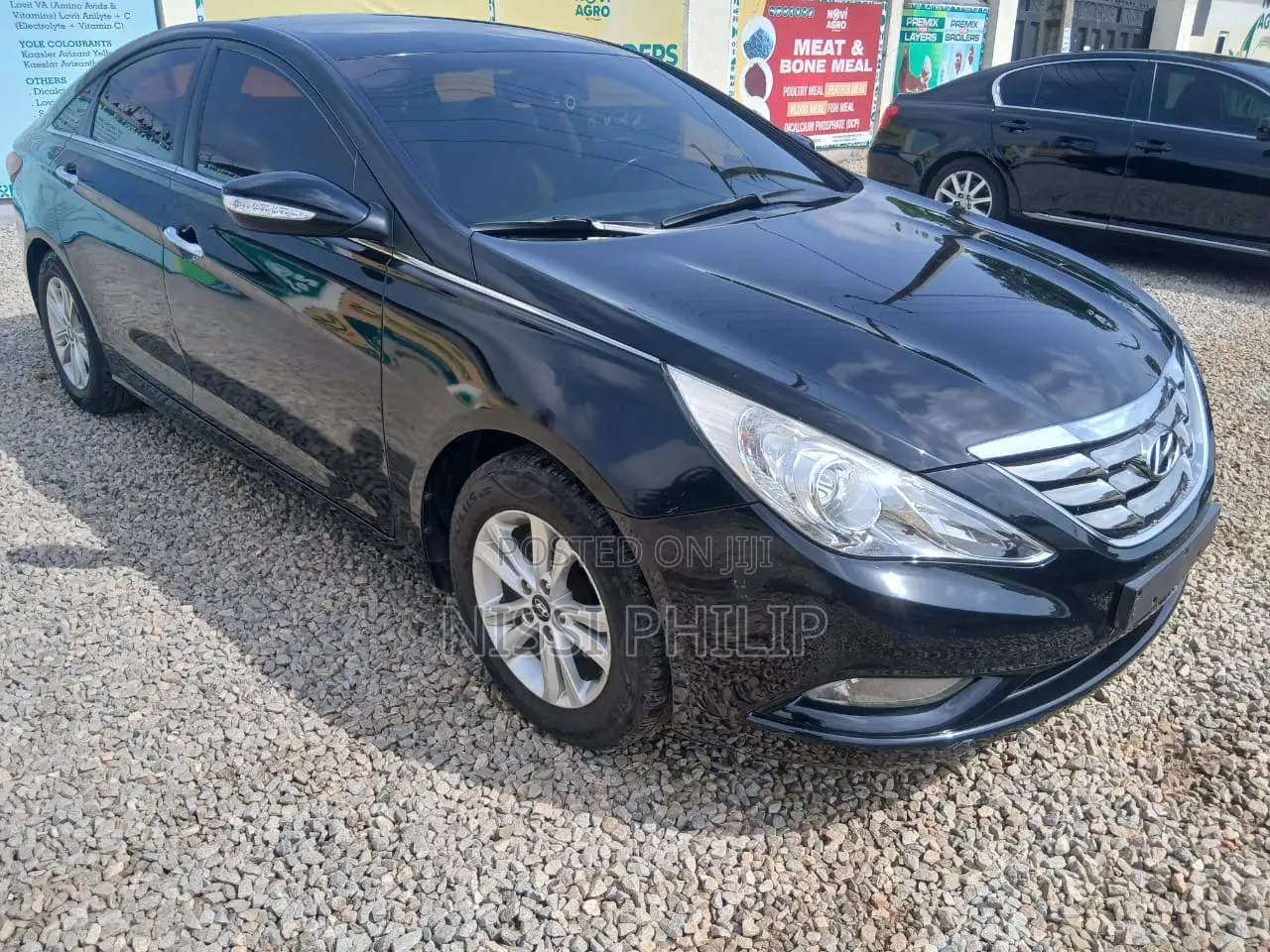 Hyundai Sonata 2010 Black