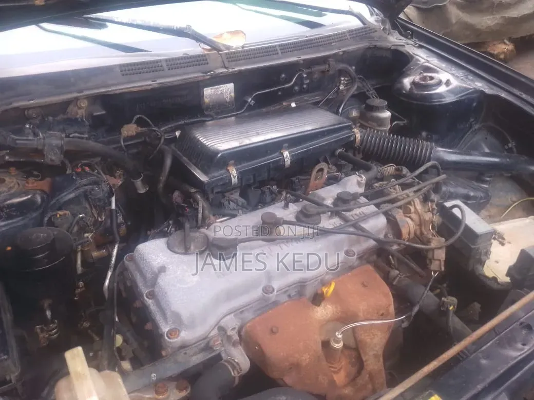 Nissan Almera Tino 2004 Gray