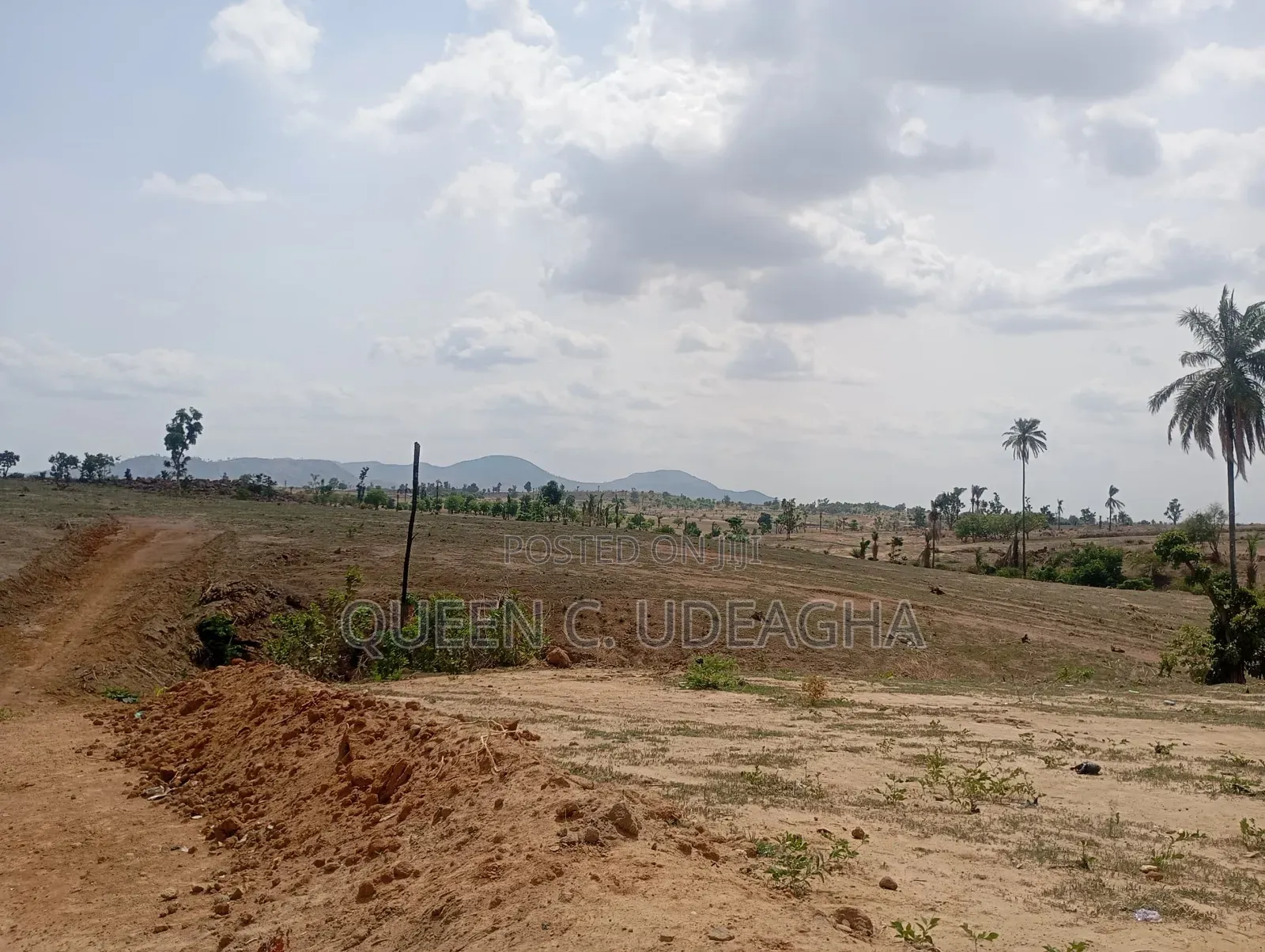 Kingsville Estate, Kurudu.