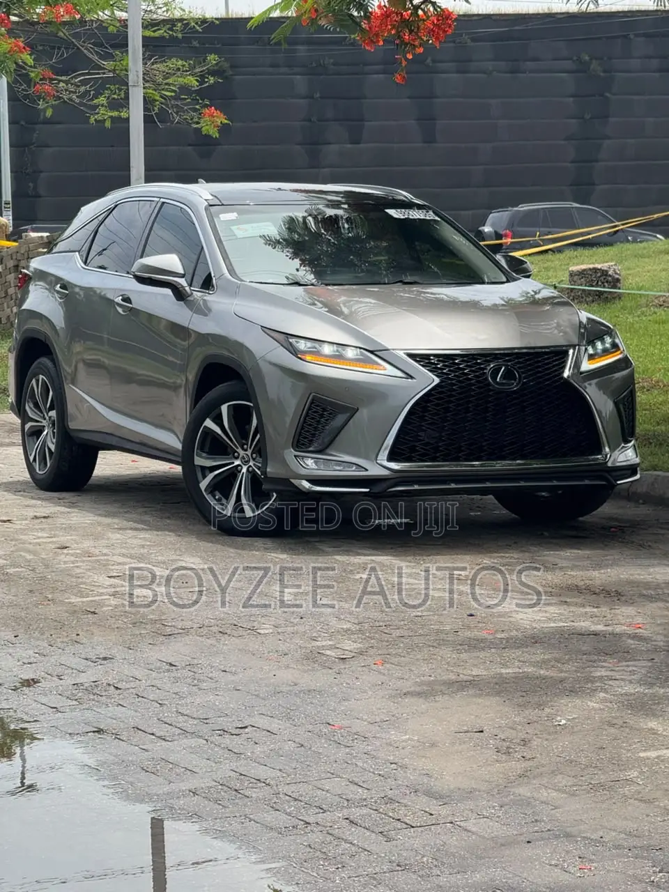 Lexus RX 2020 Gray