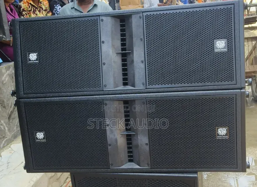 Steck Audio Dual 12" Dual 75.5mm Neodymium Horn Line Arrays