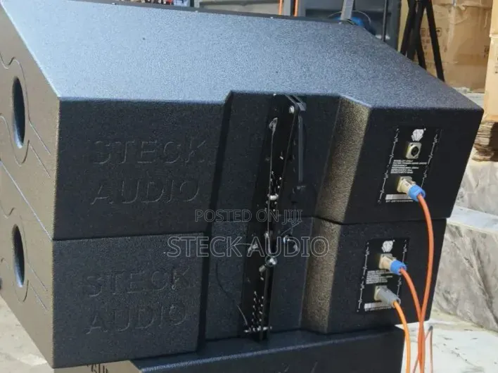Steck Audio Double 10" Neodymium Woofer and 75.5mm Tweeter Horn Line