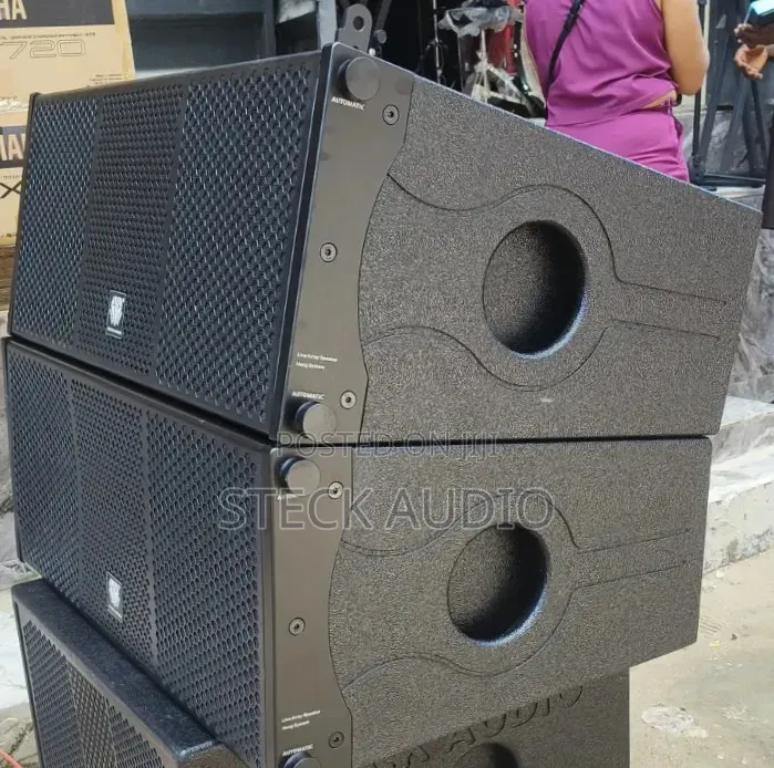 Steck Audio Double 10" Neodymium Woofer and 75.5mm Tweeter Horn Line