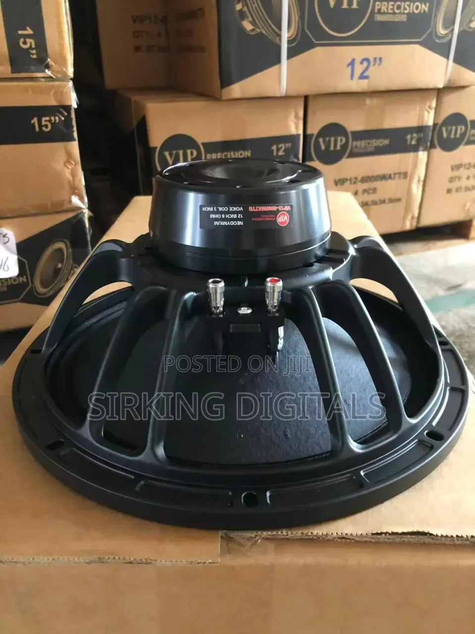 Vip 12" Inches Neo Magnetic 6000 Watts