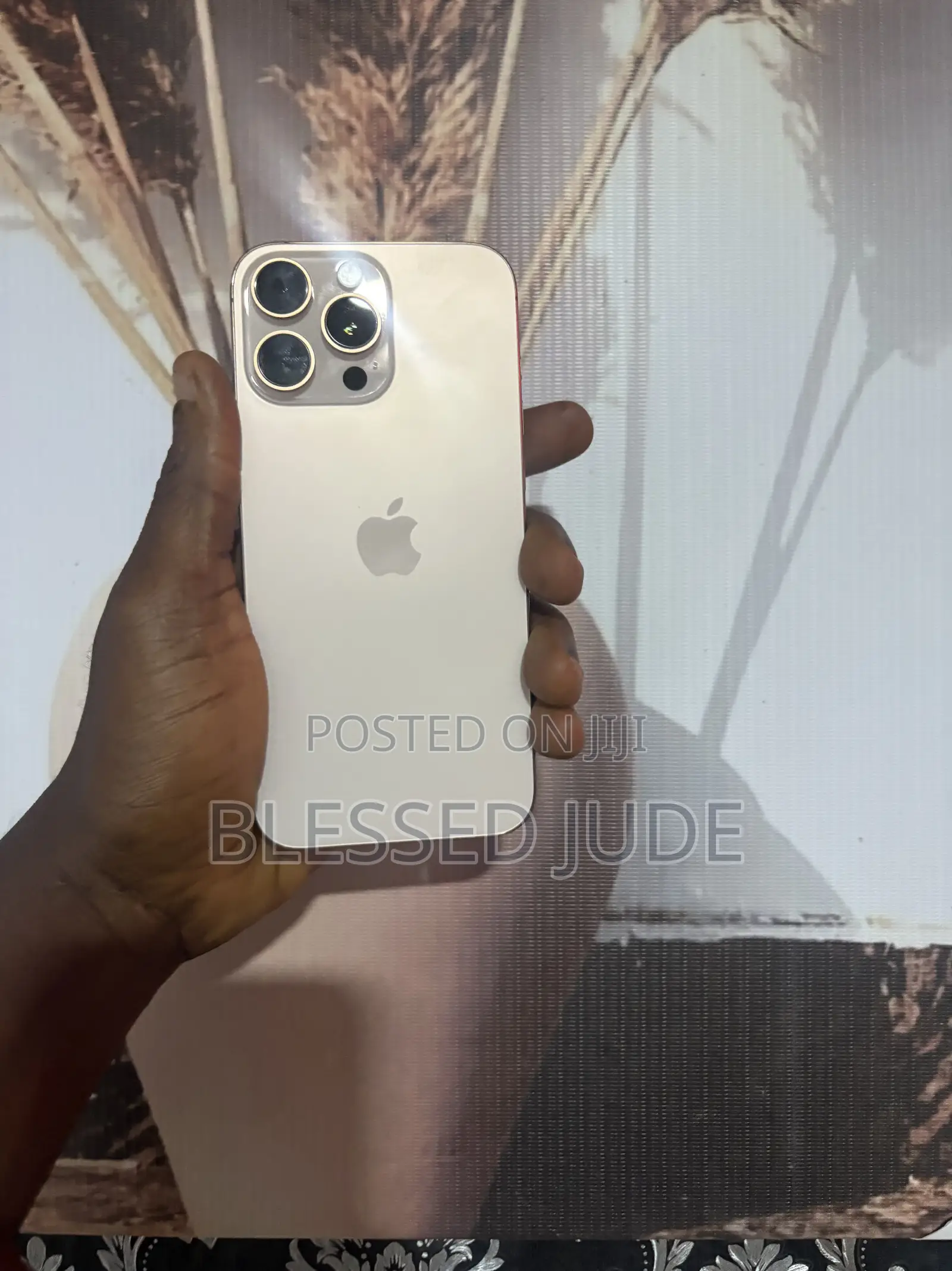 Apple iPhone 16 Pro Max 256 GB Gray