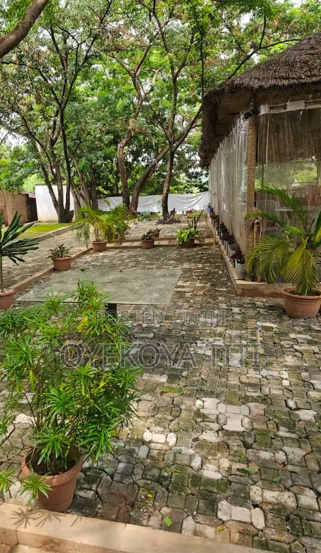 Cafe Space for Rent