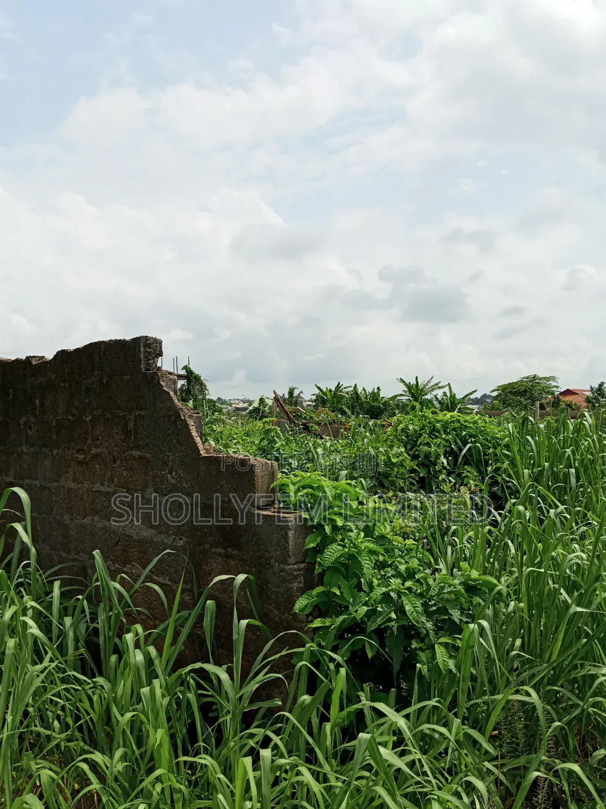 Two Aces of Land for Sale With Warehouse