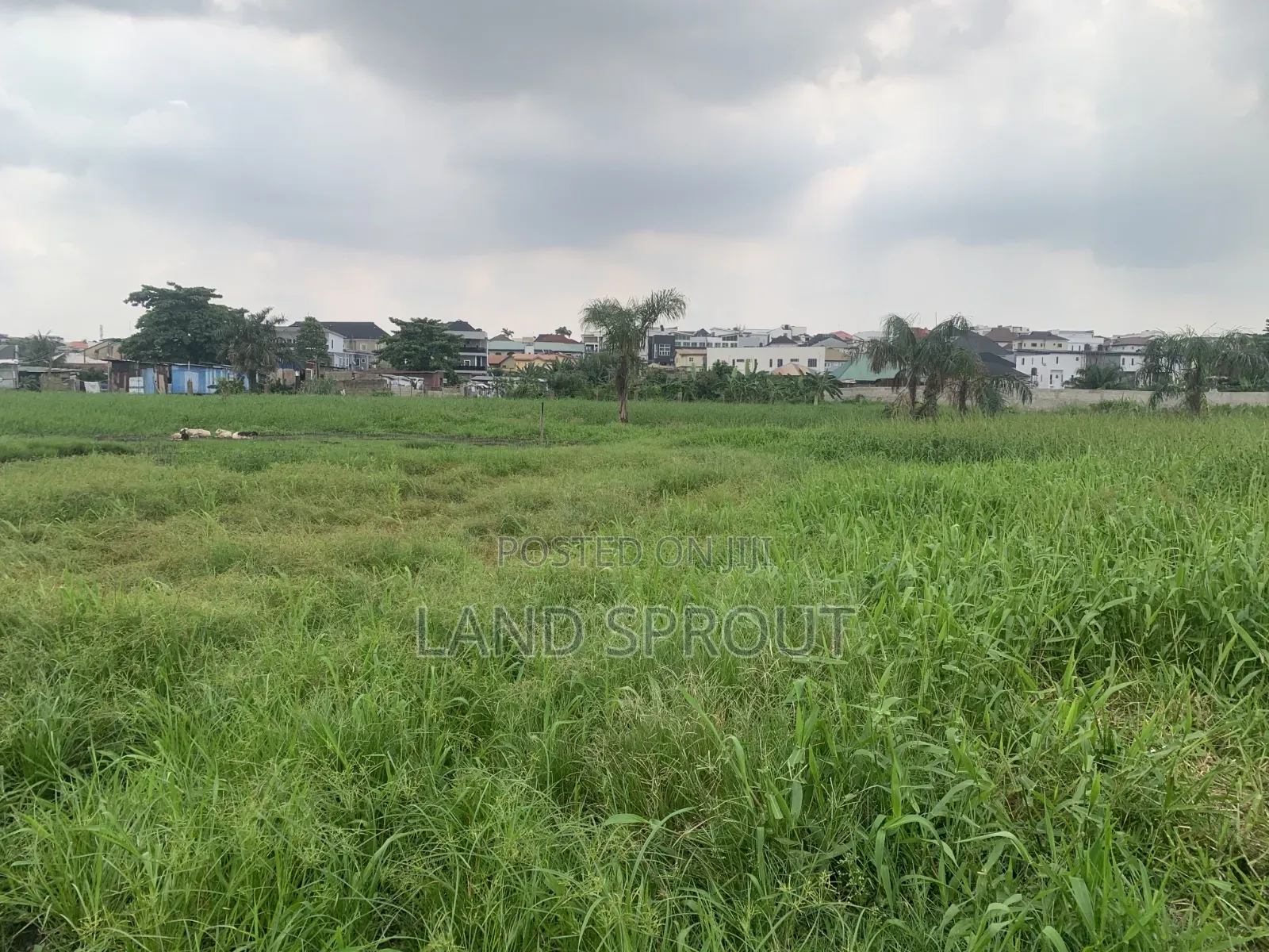 4 Plots of Land for Sale at Ikosi-Ketu, Lagos
