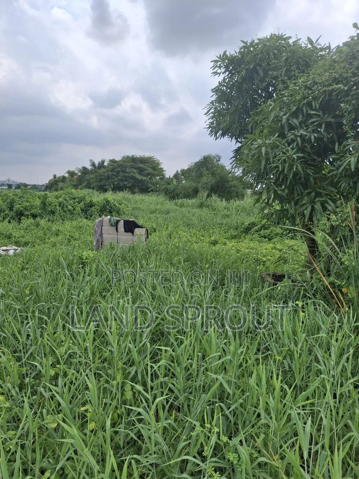 5 Plots of Land for Sale at Ogudu, Lagos