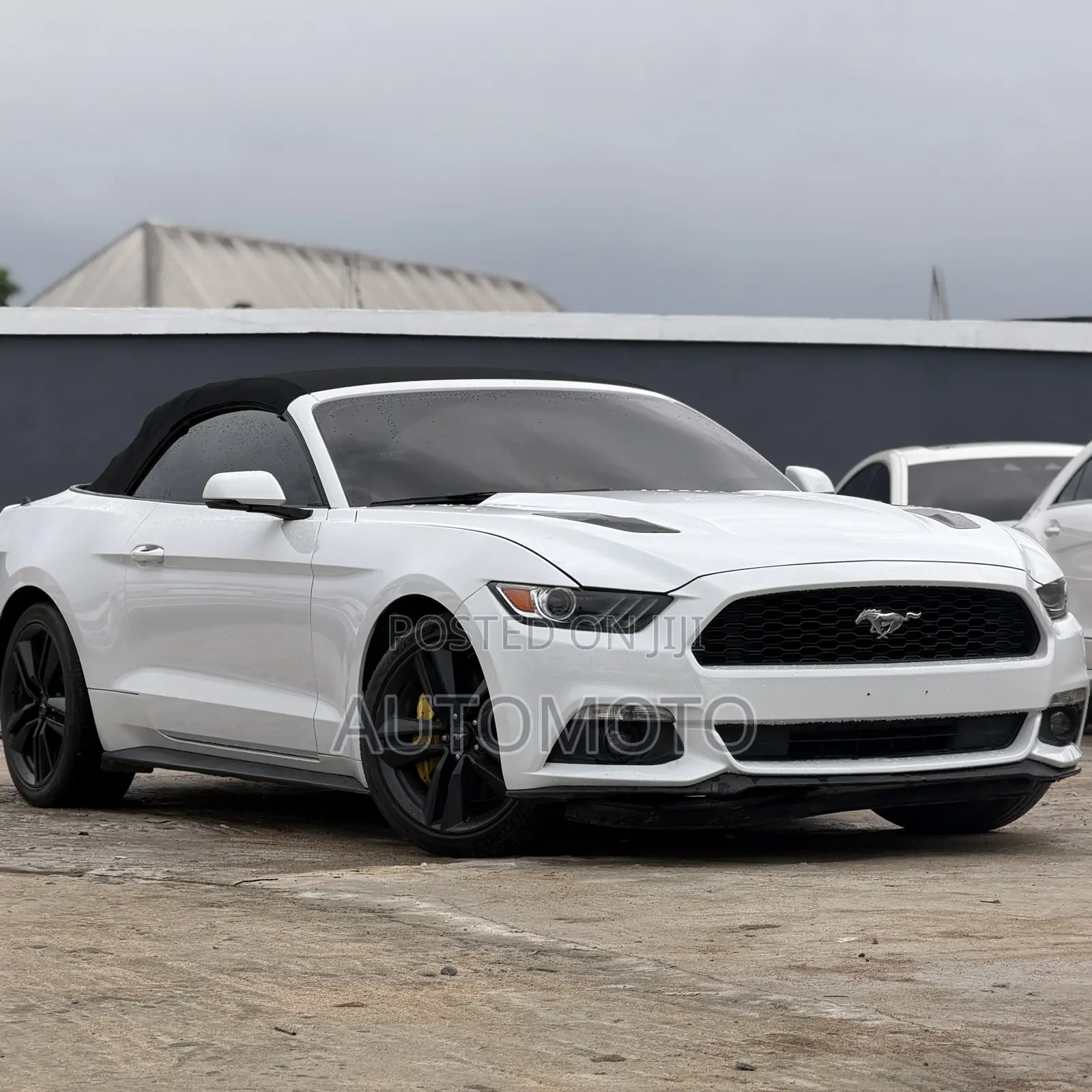 Ford Mustang EcoBoost Premium 2dr Convertible (2.3L 4cyl Turbo 6M) 2015 White