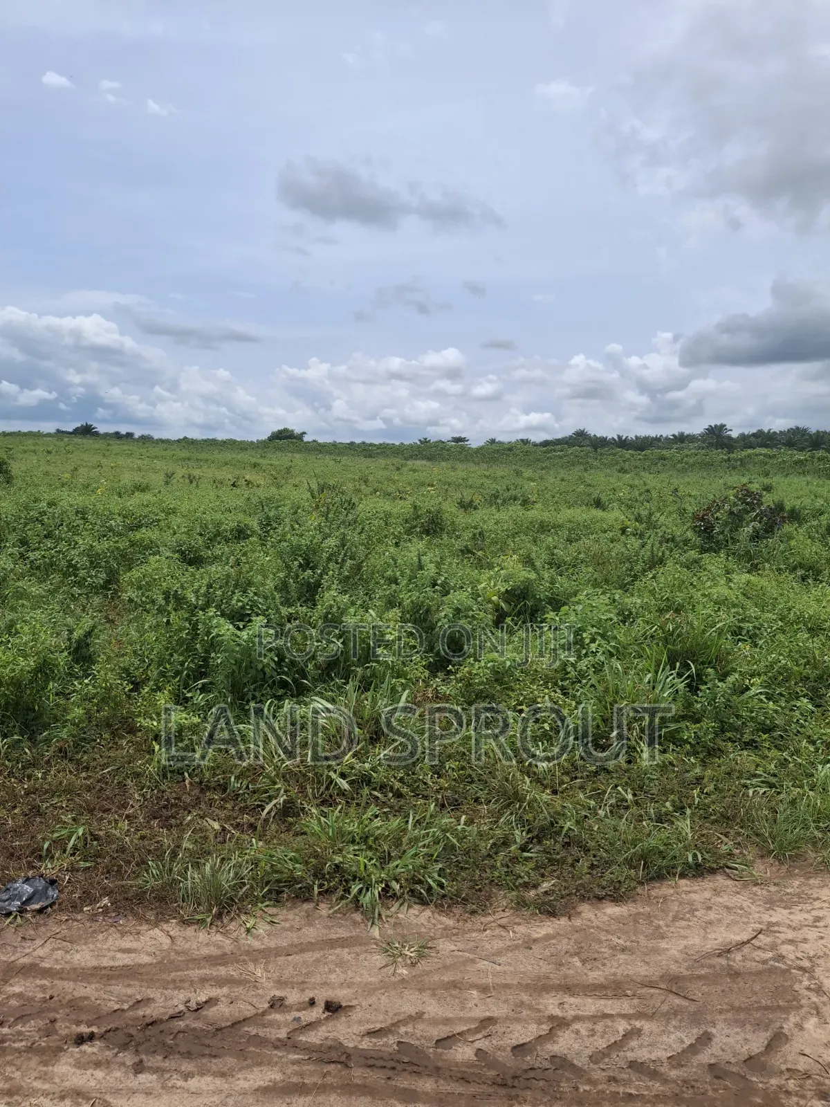 500 Acres Available at Idobarun, Near Ado-Odo Agbara-Alapoti
