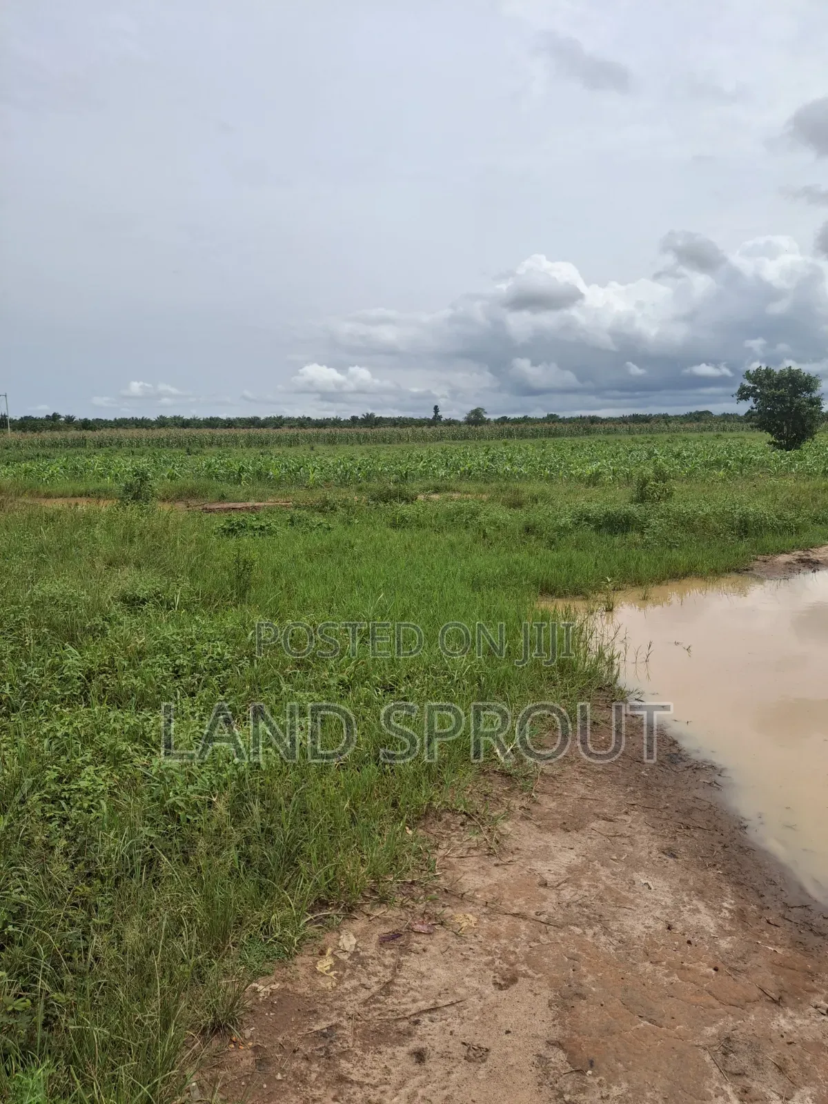 500 Acres Available at Idobarun, Near Ado-Odo Agbara-Alapoti