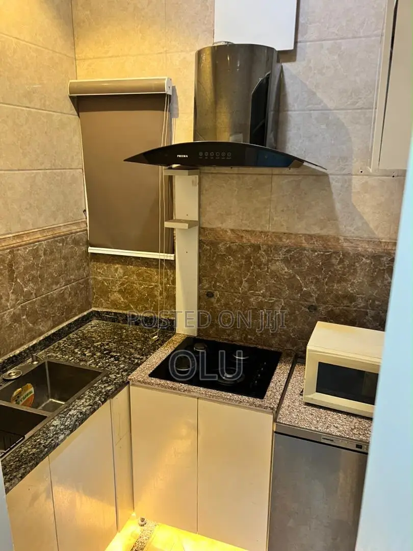 Furnished 2bdrm Block of Flats in Ikate for rent
