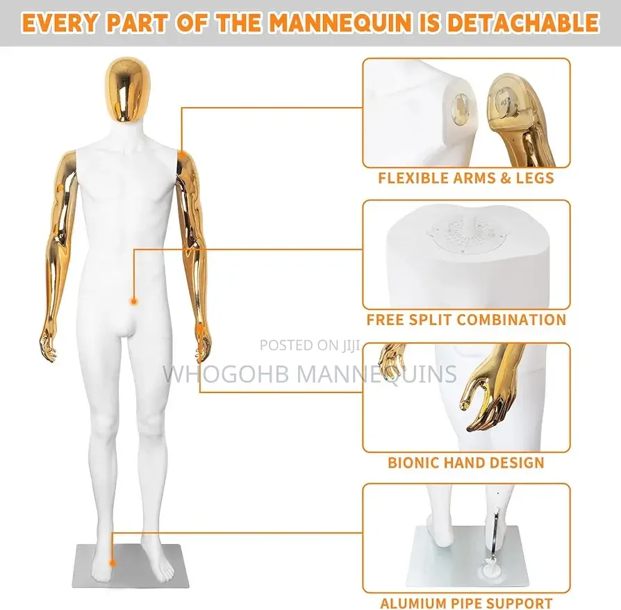 White and Chrome Gold Male Mannequin Chest 38"