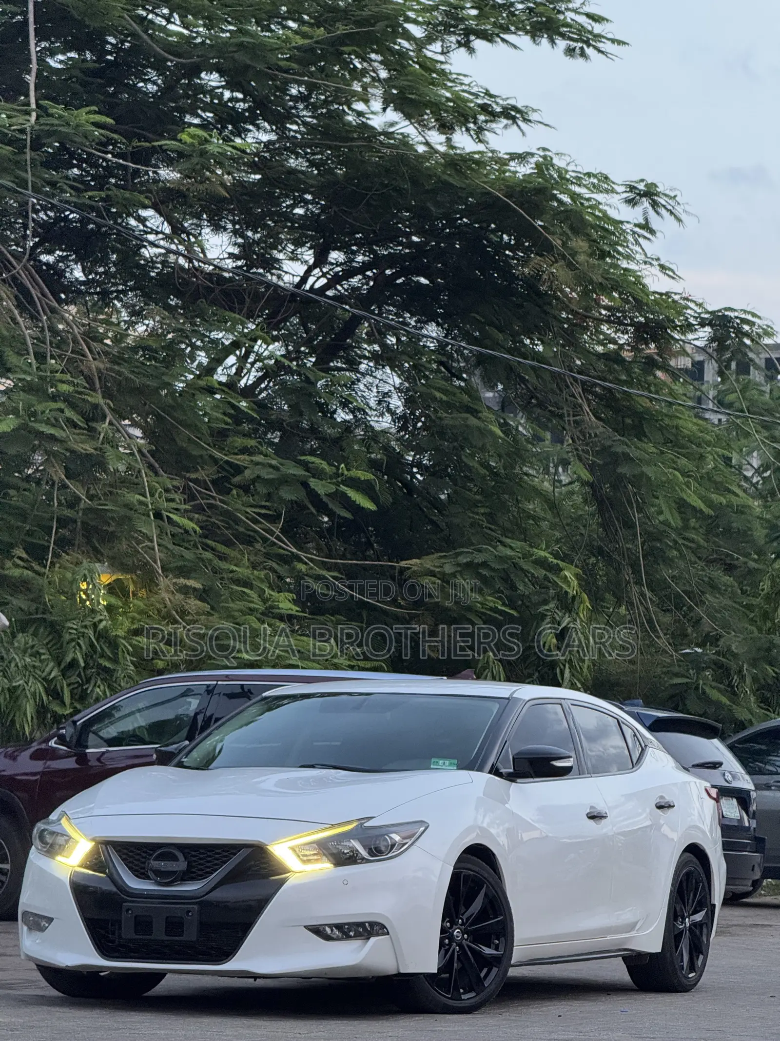Nissan Maxima 3.5 SR 2019 White