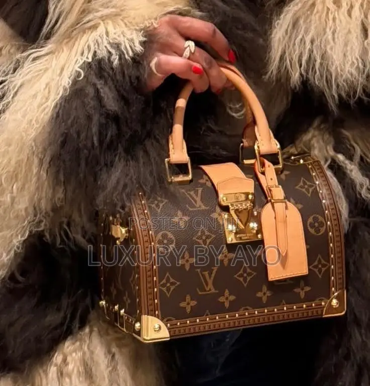 Louis Vuitton Luxury Hand Bag