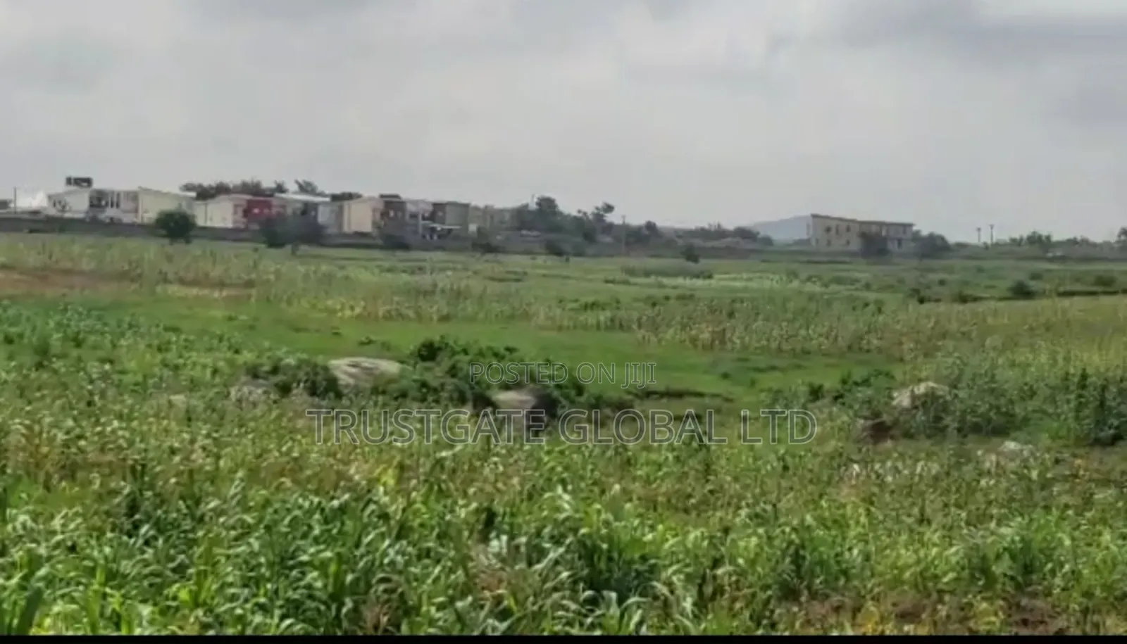 5.2 Hectares of Mixed Used Land