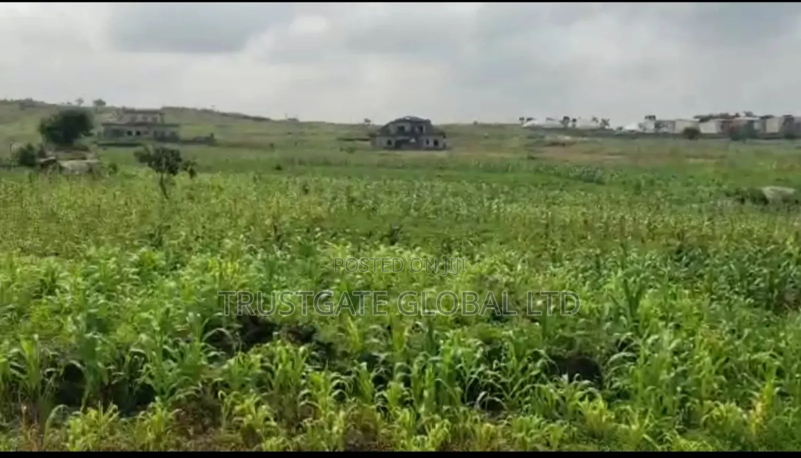 5.2 Hectares of Mixed Used Land