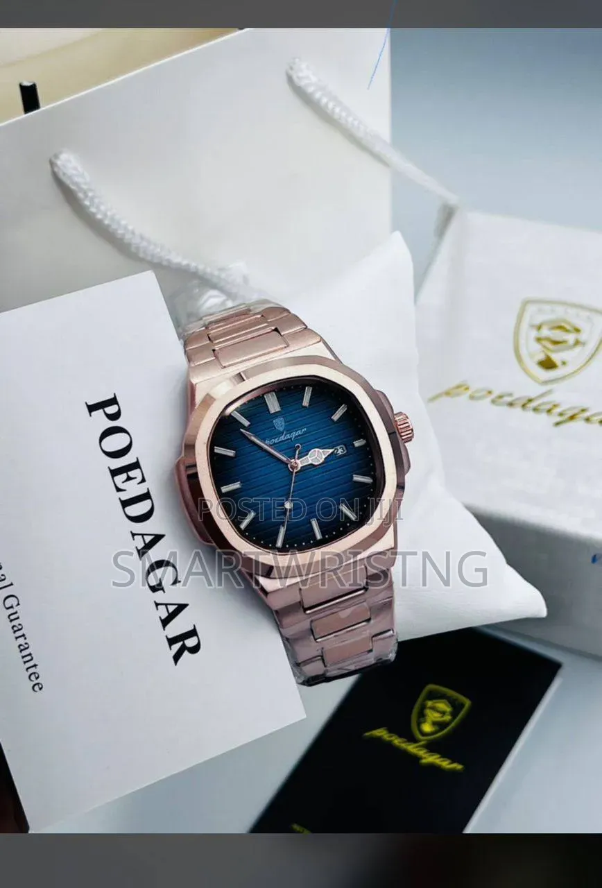 Podegar Inspo Chain Watch