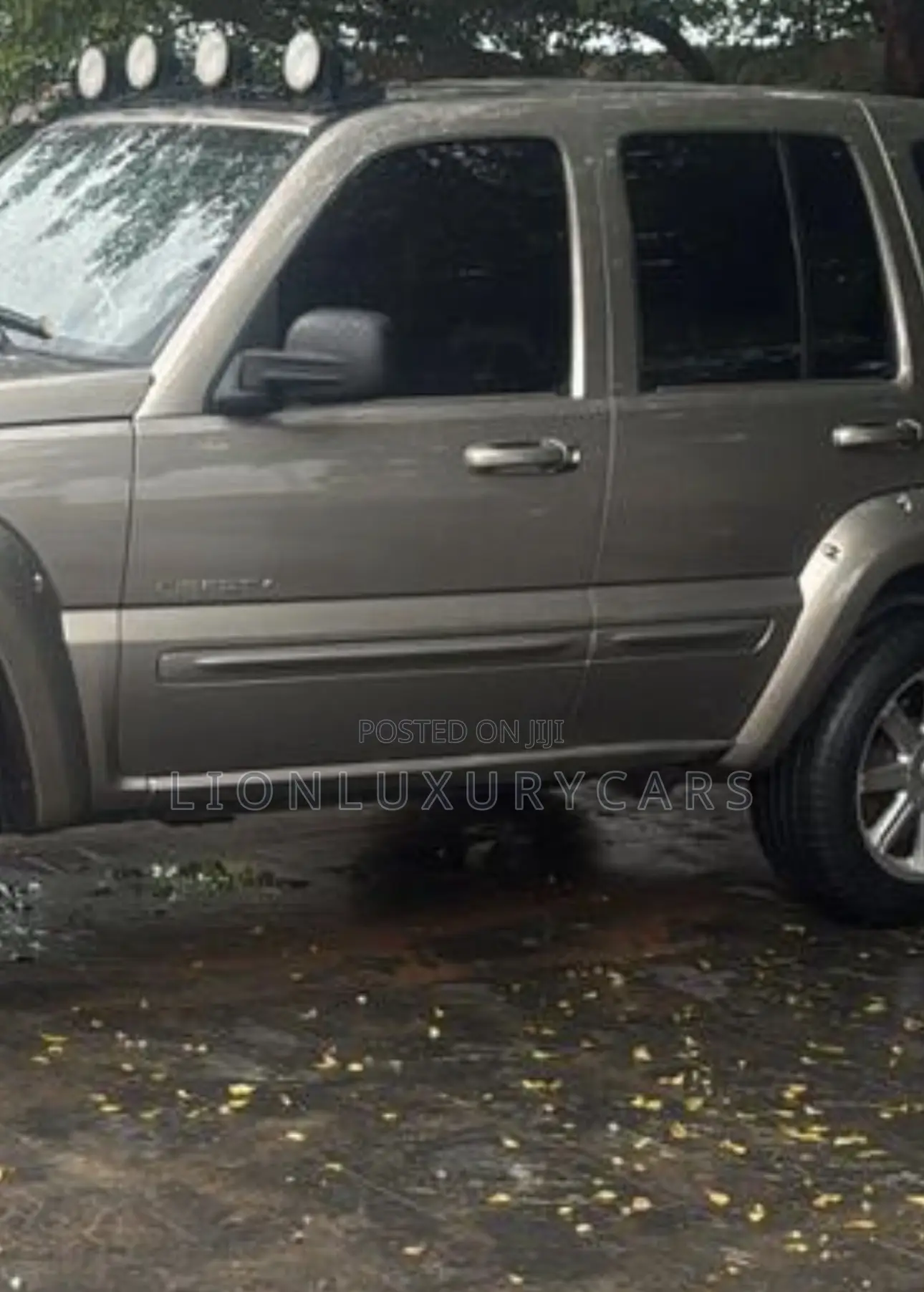 Jeep Wrangler 2005 Silver