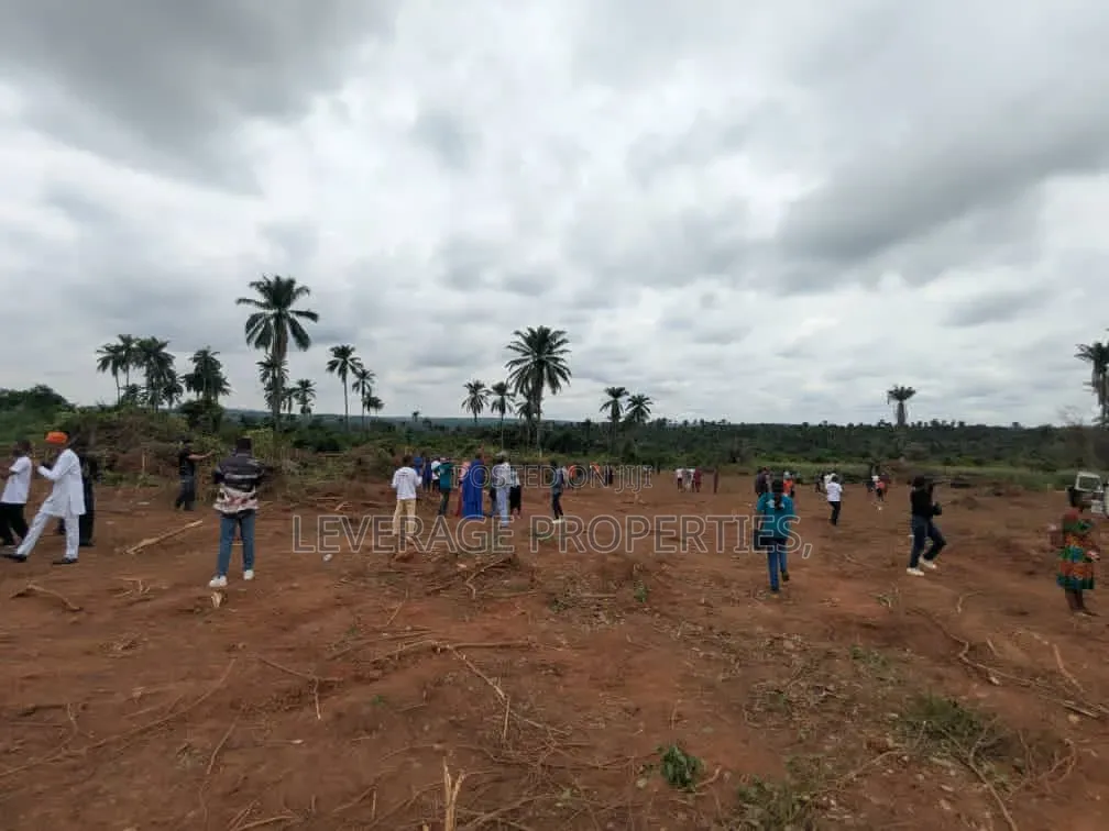 Affordable Land Around Gateway International Airport, Iperu