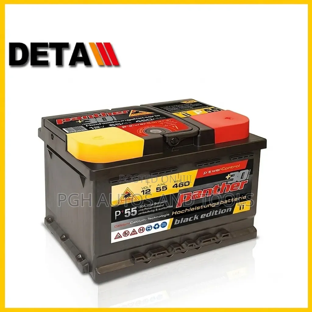 German Panther Car Battery