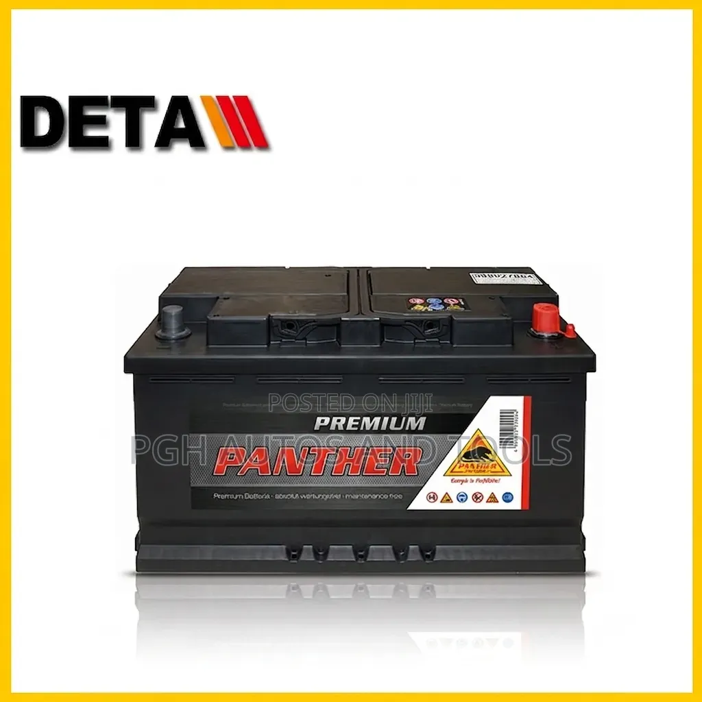 German Panther Car Battery