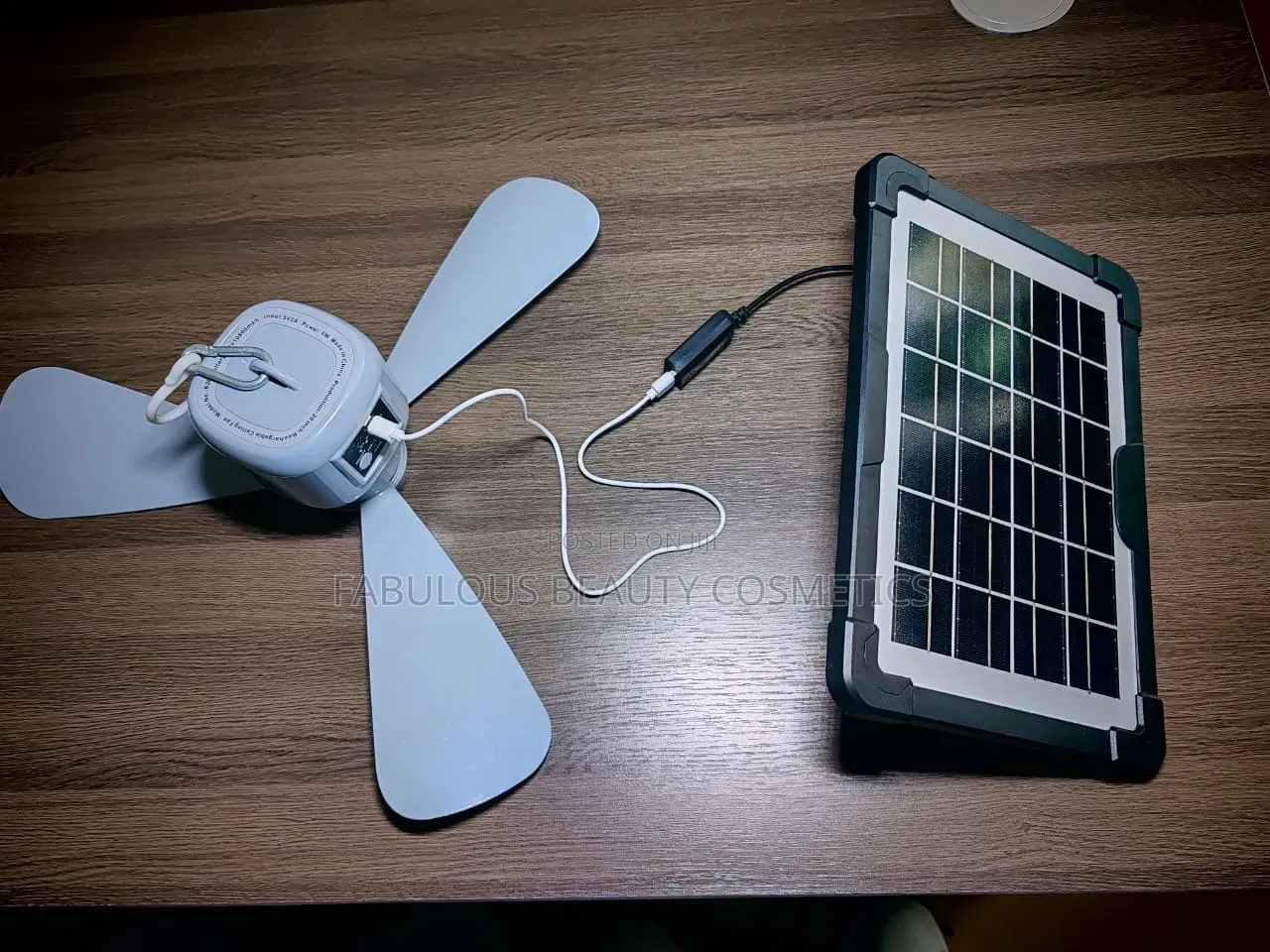 Portable, Solar-Powered Ceiling Fan