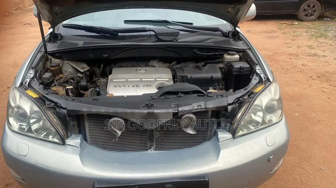 Lexus RX 330 2005 Gray