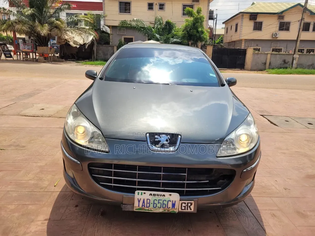 Peugeot 407 2007 Gray